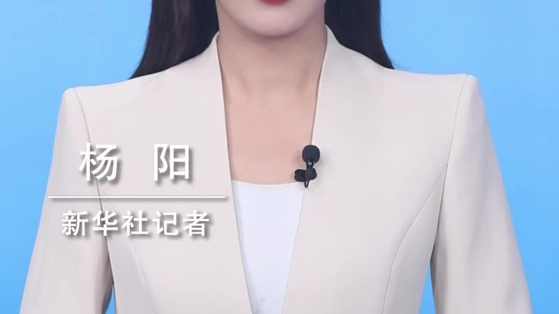 数据中台建设：揭秘批发代理背后的技术奥秘**